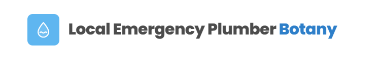 Local Emergency Plumber Botany